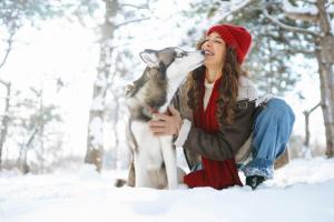 Urlaub mit Hund | HOFER REISEN