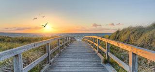 Urlaub an der Ostsee, Strand | HOFER REISEN