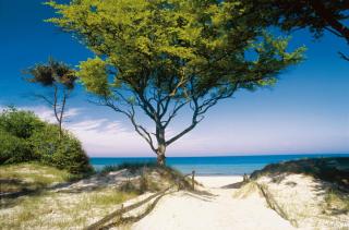 Strand an der Halbinsel Fischland Darß-Zingst | HOFER REISEN