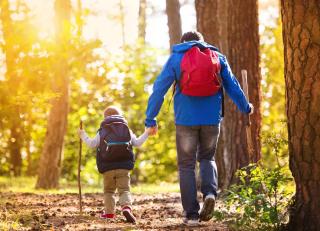 Wandern Vater Sohn Wald Wandern Vater Sohn Wald