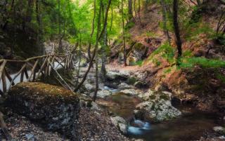 Tal der Schmetterlinge HOFER REISEN