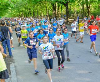 Vienna City Marathon Vienna City Marathon