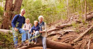 Wald Familie | HOFER REISEN