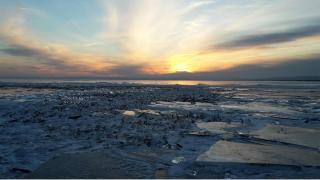 Neusiedlersee HOFER REISEN