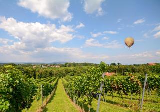 Weinberg mit Heißluftballon, Burgenland - HOFER REISEN Weinberg mit Heißluftballon, Burgenland - HOFER REISEN