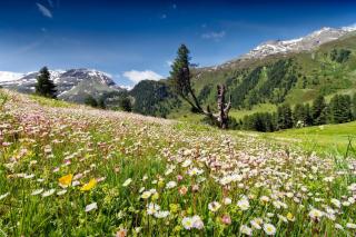 Kaunertal HOFER REISEN