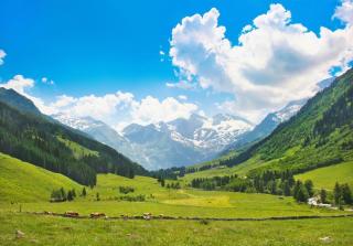 Hohe Tauern HOFER REISEN