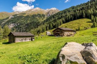 Salzburg Sommer Alm Berge Wiese HOFER REISEN 