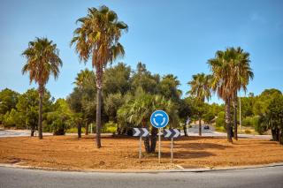Kreisverkehr Spanien Straße Palmen HOFER REISEN
