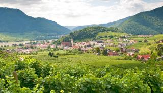 Wachau Spitz