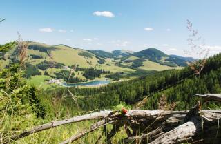 Fladnitz in der Steiermark