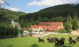 Stutenmilch Töchterlehof 