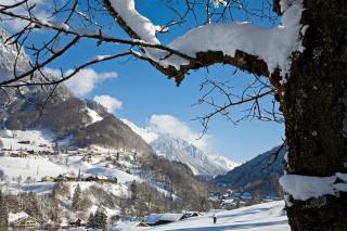 © Andreas Gassner - Alpenregion Bludenz Tourismus GmbH Bludenz HOFER REISEN
