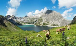 Montafon HOFER REISEN