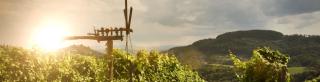 © Eurotours Steiermark - HOFER REISEN