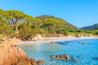Korsika Palombaggia Strand Frankreich Sommer HOFER REISEN