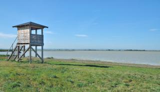 Lange Lacke Neusiedler See Burgenland HOFER REISEN