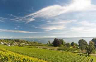 Die schönsten Seen Österreichs Bodensee Vorarlberg HOFER REISEN