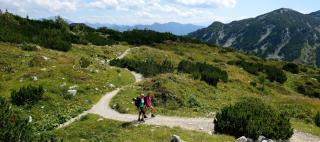 Traunsee Salzkammergut HOFER REISEN