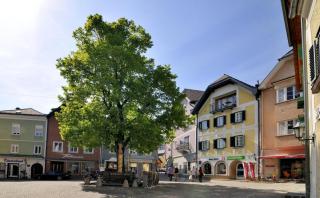 Gmunden Traunsee Salzkammergut HOFER REISEN