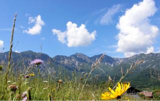 Die schönsten Seen Österreichs Mondsee HOFER REISEN