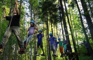 Faistenau Waldkletterweg Fuschlseeregion HOFER REISEN