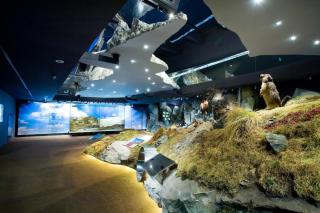 Nationalparkzentrum Mittersill HOFER REISEN