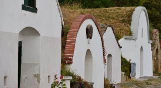 Kellergasse Weinviertel Niederösterreich HOFER REISEN