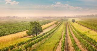 Weinviertel HOFER REISEN