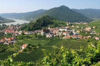 © Gregor Semrad Spitz in der Wachau HOFER REISEN