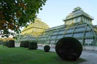 Palmenhaus im Burggarten Wien HOFER REISEN