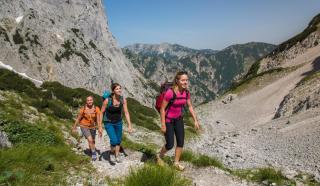 Kitzbüheler Alpen Kirchdorf HOFER REISEN