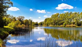 Nationalpark Donau-Auen Lake | HOFER REISEN