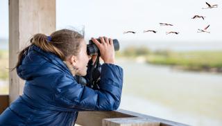 © Eurotours Nationalpark Neusiedlersee - Seewinkel HOFER REISEN