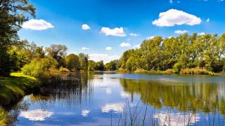 Nationalpark Donau-Auen, Wandern mit Baby HOFER REISEN