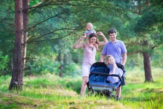 Wandern mit Baby, mit Kinderwagen im Wald | HOFER REISEN