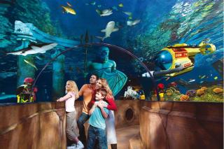 © 2025 The LEGO Group © 2025 The LEGO Group