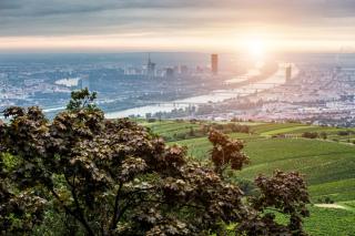 Wien Sonnenuntergang HOFER REISEN