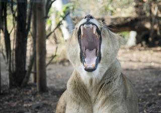 Naturpark Almenland HOFER REISEN