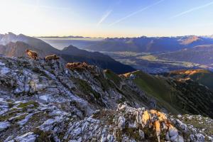Die schönsten Naturparks Österreichs HOFER REISEN