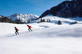Langlaufen im Bregenzerwald