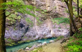 Naturpark Ötscher-Tormäuer HOFER REISEN