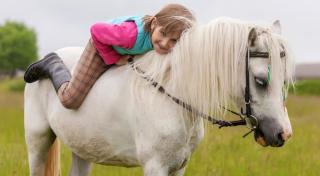 Naturpark Ötscher-Tormäuer HOFER REISEN