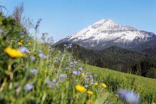Naturpark Ötscher-Tormäuer HOFER REISEN