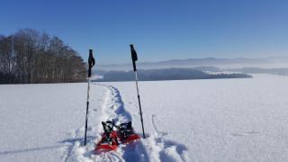Naturpark Buchberg/Mattsee Winter HOFER REISEN
