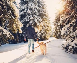 Winterspaziergang Hund Winter HOFER REISEN