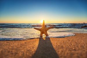 Ferienwohnungen am Meer HOFER REISEN