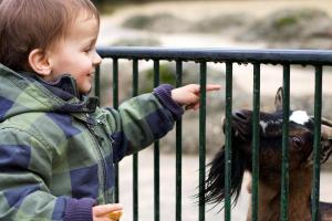 Attraktionen für Kinder