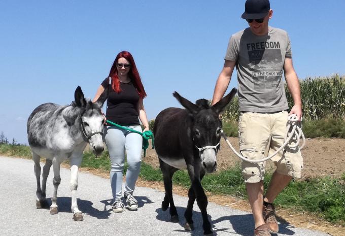 Eselwanderung