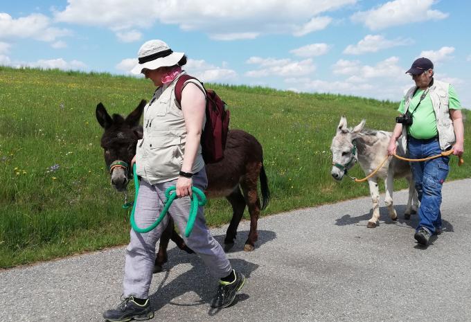 Eselwanderung